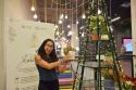 It’s Going to Be “a Green Christmas” at the Linc Kl