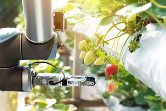 Farmers in Malaysia Urged to Leverage Collaborative Automation to Reduce Disruptions in Agriculture Supply Chain and Enhance Food Security