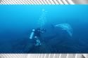[Capture the World With Galaxy S21] This UN World Oceans Day, Dive Into the Pristine Waters of Jeju