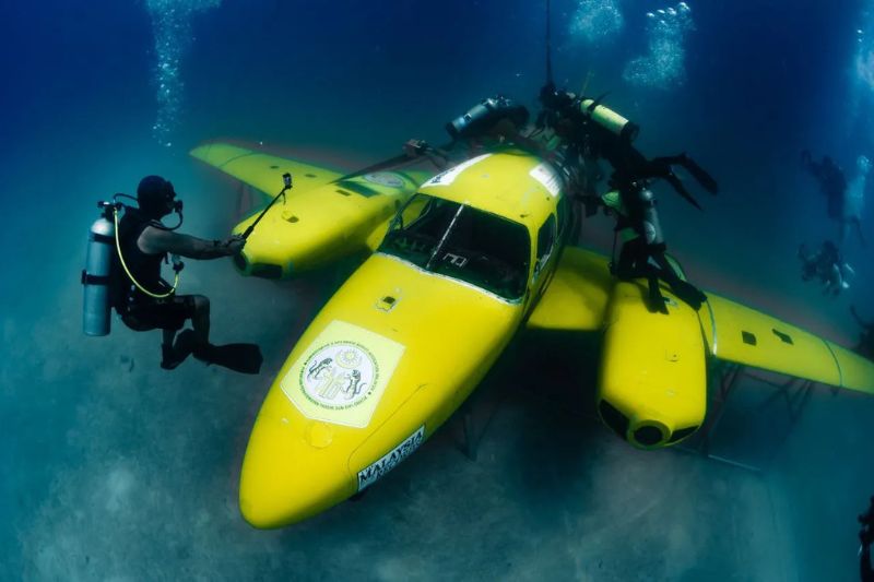 The Malaysia Book of Records Welcomes Two PADI-Certified Divers to Champion Undersea National Records and Ocean Conservation