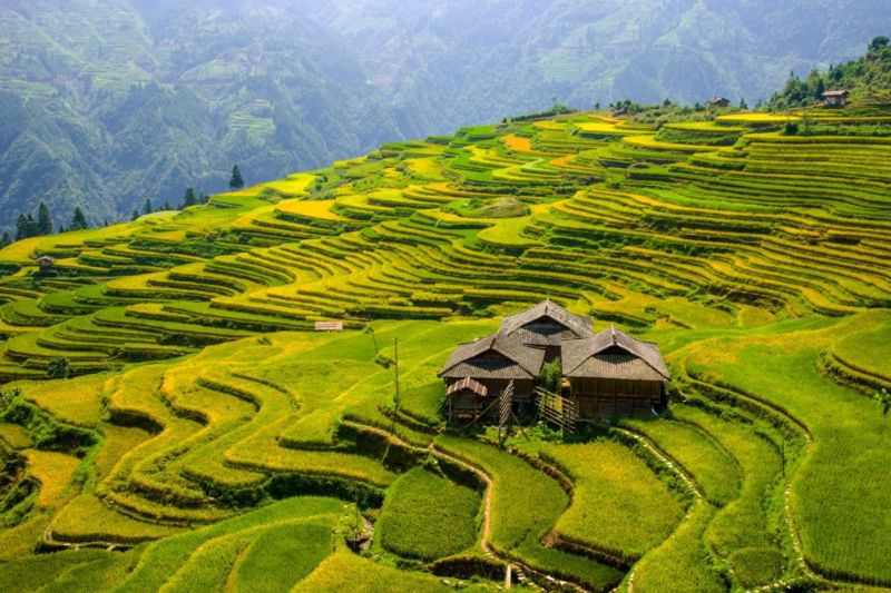 UNESCO-Listed Rice-Fish-Duck Ecosystem Benefits SW China&#039;s Guizhou