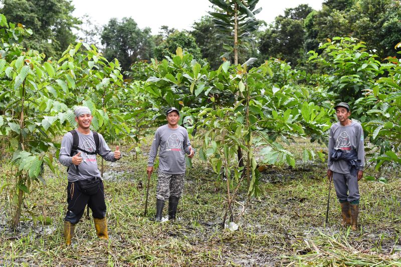 Chubb’s “More Trees for A Better Tomorrow Project” Supports Reforestation Efforts in Borneo