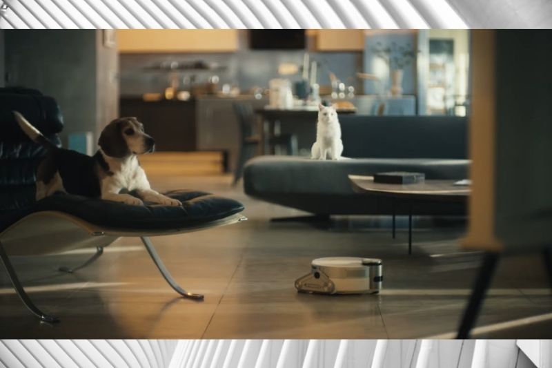 An Intelligent At-Home Helper – How the Jet Bot AI+ Takes Care of Your Pet When You’re Away
