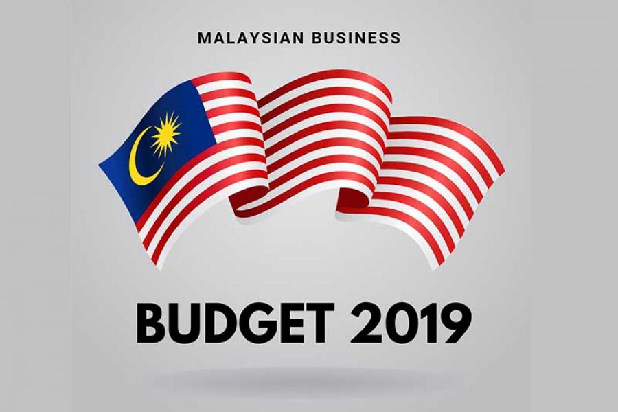 LIAM: A Caring Budget 2019