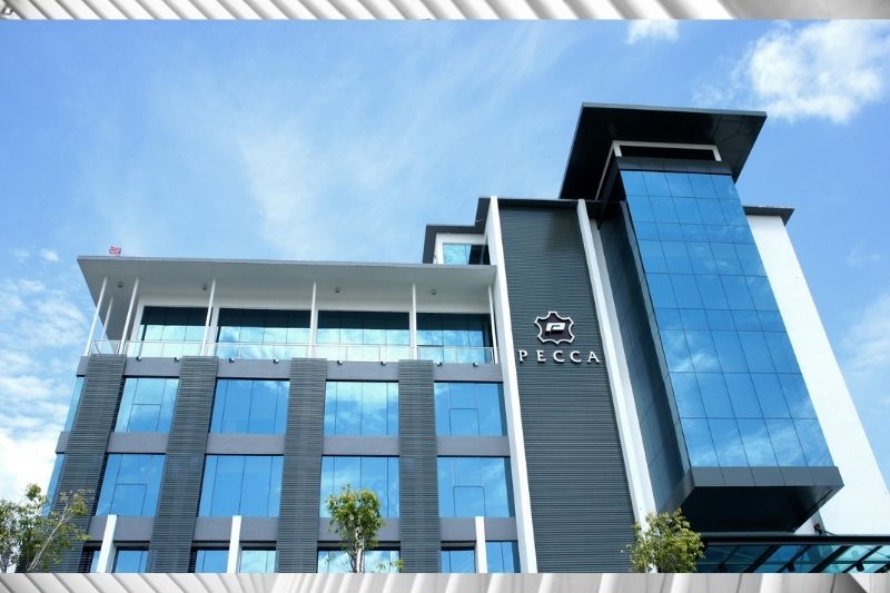 Record-high quarterly revenue for Pecca, best is yet to come