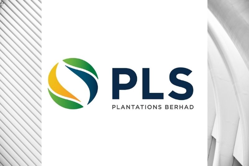 PLS Plantations showcases performance improvement  with a 340% net profit increase