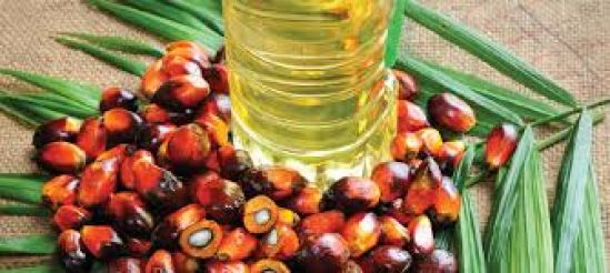 Malaysia Committed to Role as Biofuel Technology Player