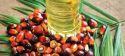 Malaysia Committed to Role as Biofuel Technology Player
