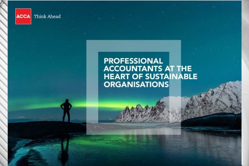 Rethinking Our World and the Accountancy Profession