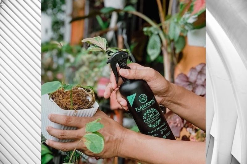 Nurture Mother Earth the Way She Nurtures Us