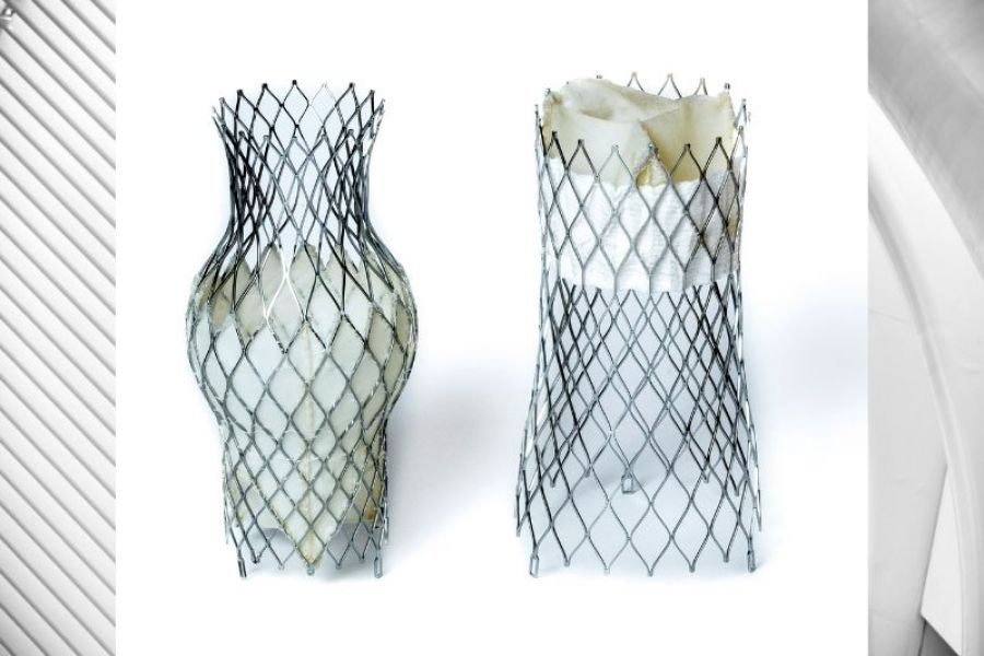 IJN first in Asia to carry out innovative heart valve treatment