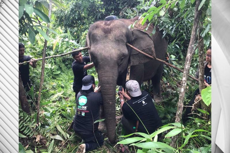 Over 9,000 Malaysians Raise Funds for Environmental Sustainability with #ShopeeGivesBack