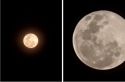 Create After-Dark Magic during the Total Lunar Eclipse with Smartphone Photography Tips from Samsung