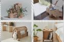 World Environment Day:  How to Make Big Differences with Small Actions at Home