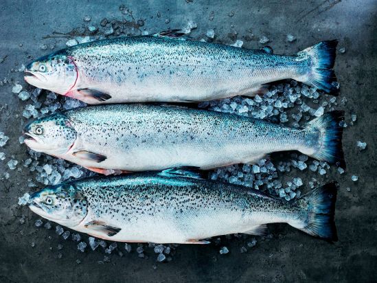 Celebrating 50 years of Norwegian salmon and to many more years to come!