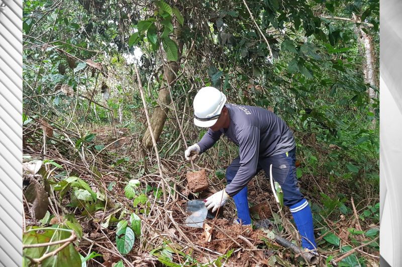 Zurich Malaysia supports TRCRC in race to save key tree  species from extinction