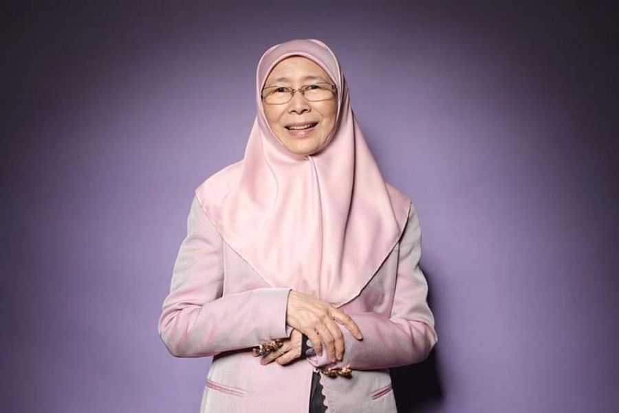 Image result for wan azizah